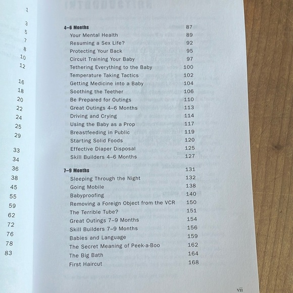 Book: Be Prepared: A Practical Handbook for New Dads by Gary Greenberg & Jeannie - Picture 4 of 9